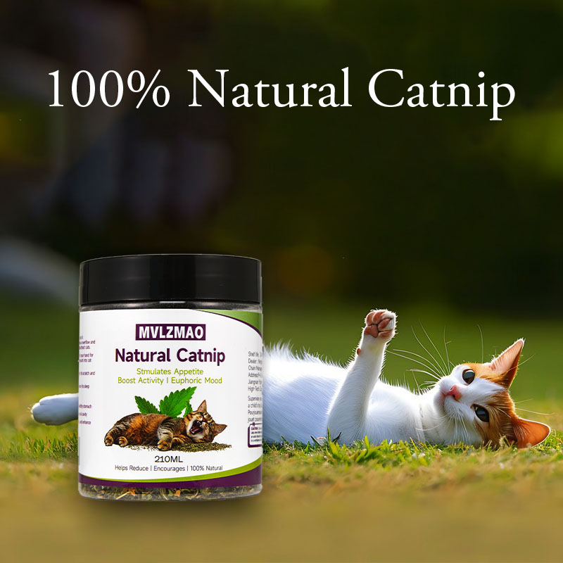 猫のおもちゃ - 猫用マタタビマタタビ、100% 天然マタタ - Nettle Leaf Tea のレビューと価格